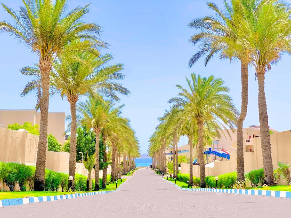 Ivy Cyrene Island Aqua Park Resort (Adults Only) Sharm-el-Sheikh Buitenkant foto